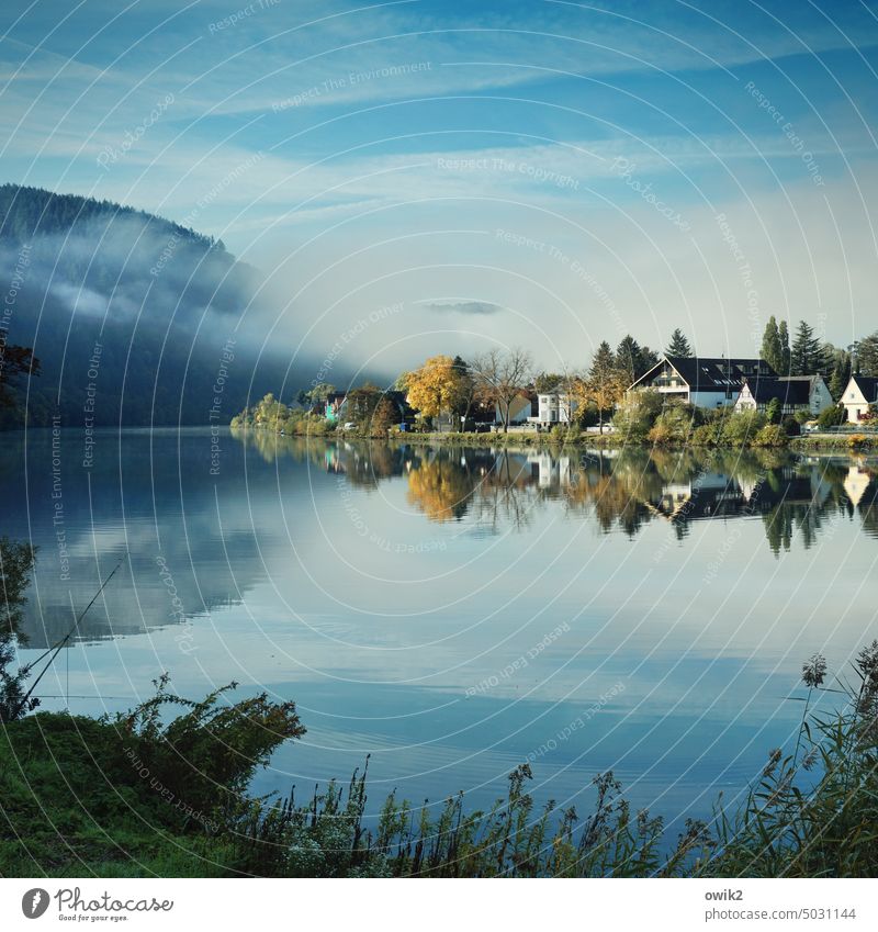 Grundstück mit Swimmingpool Traben Trarbach Moseltal Flussufer Ruhe Idylle Landschaft Häuser Gebäude Wasseroberfläche Wasserspiegelung Spiegelbild