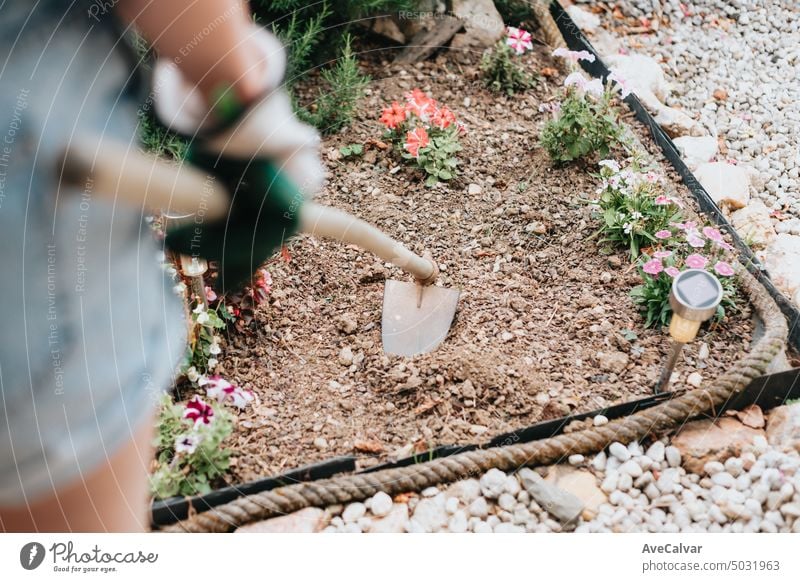 Nahaufnahme einer jungen Frau, die in einem kleinen Garten arbeitet, Blumen pflanzt und Erde entfernt Werkzeug Wachstum Landschaftsarchitektur Gartenarbeit