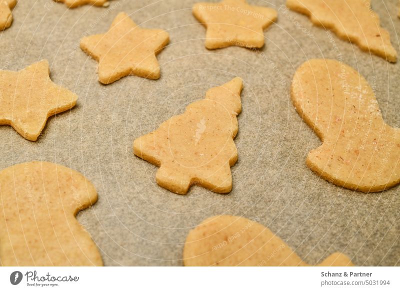 ausgestochene Weihnachtsplätzchen auf Backpapier Weihnachten Gebäck Plätzchen Weihnachtsbaum Backen Weihnachtsgebäck Weihnachten & Advent Plätzchen ausstechen