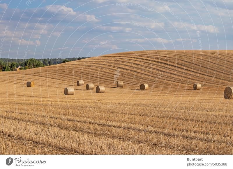 Abgemähtes Kornfeld mit Heuballen Ackerbau Feld Ernte Landwirtschaft Getreide Nutzpflanze Ernährung Außenaufnahme Landschaft Umwelt Hügel Getreidefeld Herbst