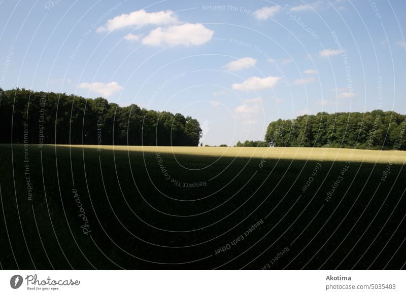 Lichtung im Schatten des Waldes Sonnenlicht Sommer Wolke Natur Landwirtschaft Feld Wolken Blauer Himmel