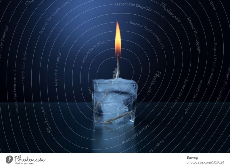 Eiswürfel-Kerze Winter Wärme springen Brand melt dew Kerzendocht Flamme brennen schmelzen heiß dunkel Reflexion & Spiegelung Kontrast Gegenteil kalt Farbfoto