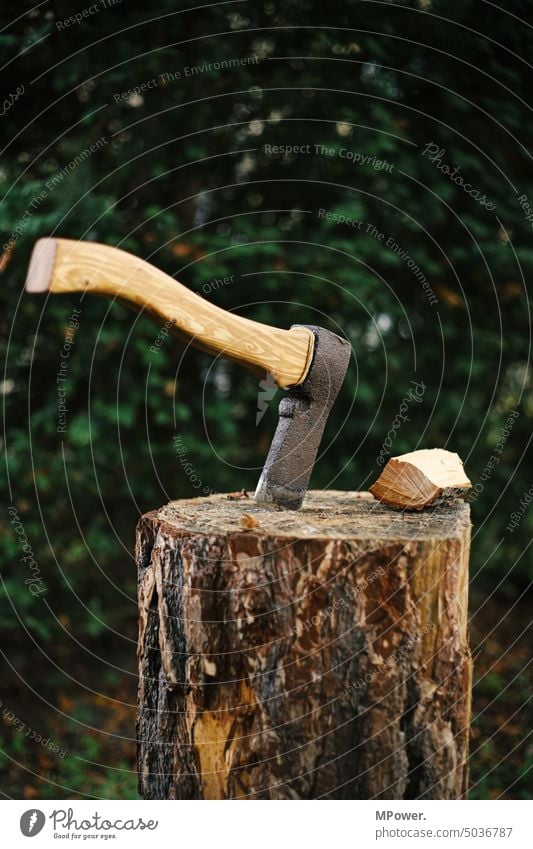 axt im walde Axt Holz Holzstamm Holz hacken Holzstück Holzscheite Außenaufnahme Brennholz Baumstamm Forstwirtschaft Abholzung Nutzholz Umwelt Wald Waldarbeiter