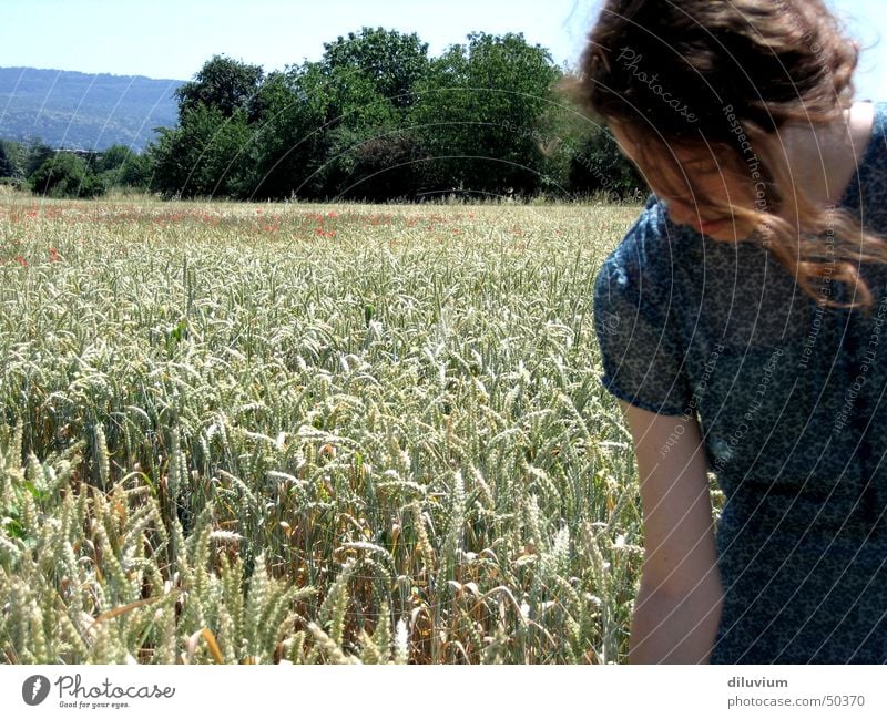 in der natur Mädchen Kleid Feld Ähren blau Natur Himmel Sommer