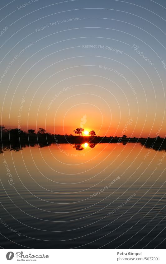 Sonnenuntergang am Fluss Himmel Wasser Abend Sonnenlicht Abenddämmerung Abendstimmung untergehende Sonne Romantik Licht Natur Landschaft Stimmung Dämmerung