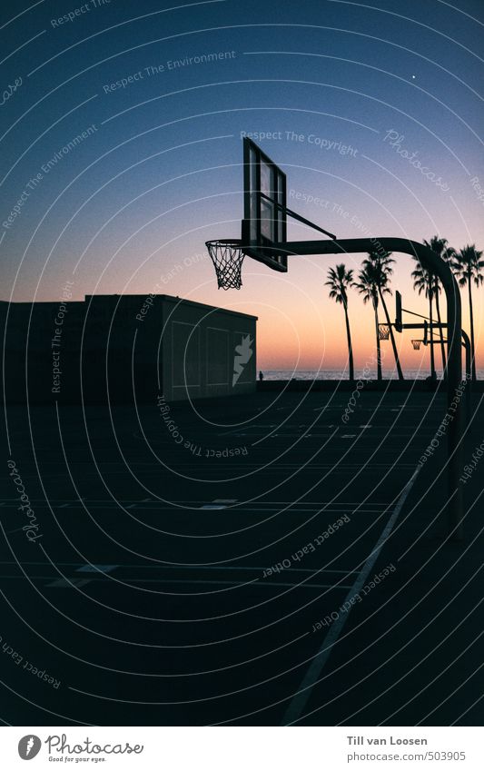 Venice Beach Sport Basketballplatz Landschaft Wolkenloser Himmel Sonnenaufgang Sonnenuntergang Pflanze Palme Coolness trendy Wärme Horizont Tourismus Sportplatz