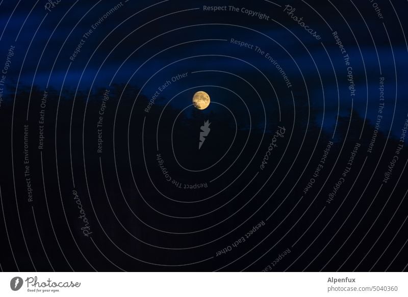 Mondphase | NordART Vollmond Nacht dunkel Mondschein Lichterscheinung Nachthimmel Wald Menschenleer Farbfoto Außenaufnahme Himmel Stimmung Silhouette Schatten