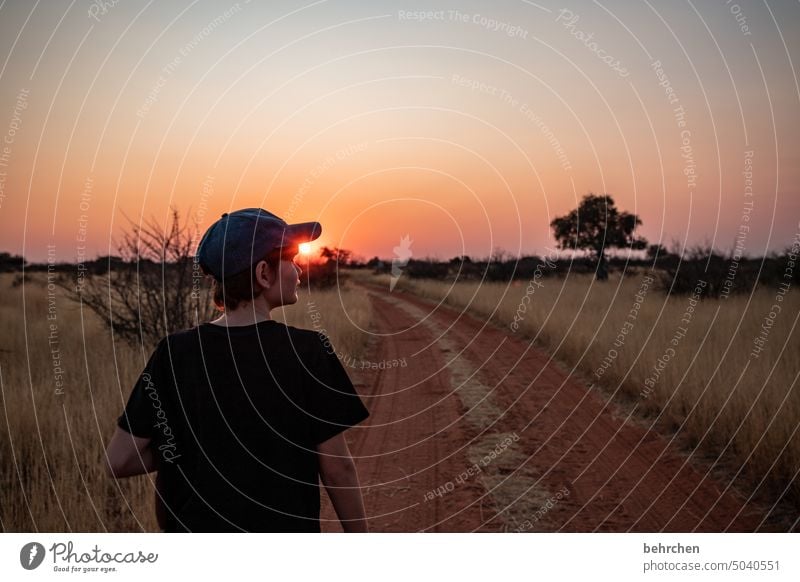 sonnenkind stille Dämmerung magisch besonders traumhaft Ferien & Urlaub & Reisen Natur Abenteuer Einsamkeit Landschaft Farbfoto reisen Fernweh Afrika Ferne