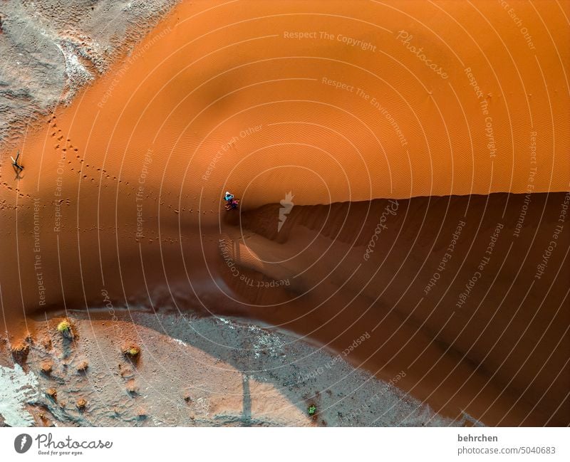 klein sein sanddüne Dünen magisch beeindruckend besonders traumhaft Wärme Abenteuer Einsamkeit Freiheit Natur Ferien & Urlaub & Reisen Landschaft Farbfoto