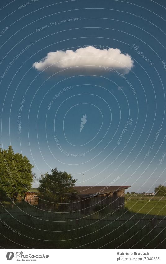 Einzelne Wolke an blauem Himmel über einer Hütte weiß Schönes Wetter Farbfoto Außenaufnahme Tag Natur Blauer Himmel blauer Himmel Textfreiraum oben Sommer Licht