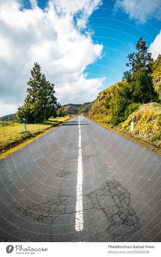 Strasse mit grünem Wegrand Straße Asphalt fahren Verkehr Straßenverkehr Verkehrswege Außenaufnahme Autofahren Wege & Pfade Landstraße Bäume Böschung Woken