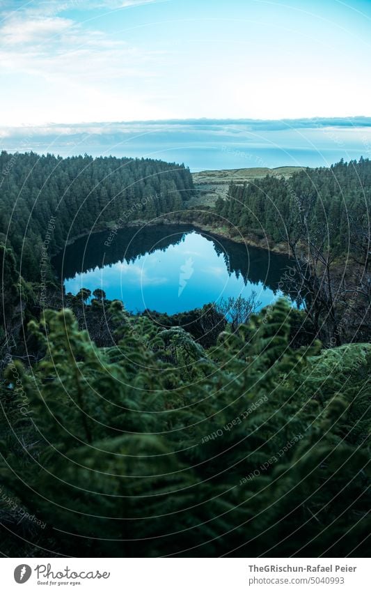 Kratersee mit Spiegelung und Farn im Vordergrund Wasser kratersee Baum Wald blau Wolken See Süßwasser Reflexion & Spiegelung Himmel Natur Außenaufnahme