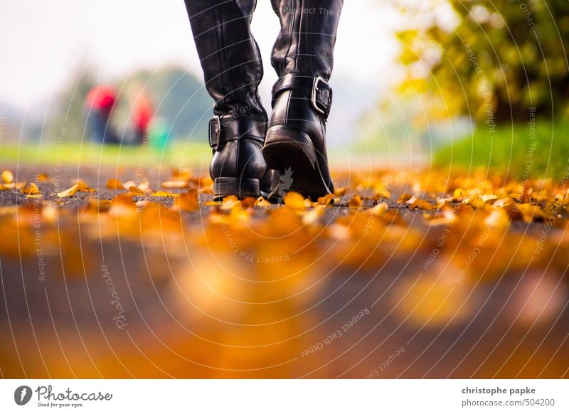 Herbstspaziergang Erholung Spaziergang feminin 1 Mensch Blatt Park Leder Stiefel gehen Freizeit & Hobby Lebensfreude Herbstlaub herbstlich Herbstbeginn Farbfoto