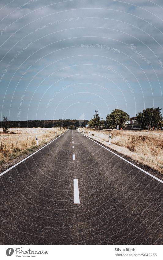 Bild im Hochformat zeigt eine geradelaufende Straße mit Mittelstreifen rechts und links befinden sich Felder, am Horizont ist ein Wald sichtbar - blauer Himmel mit Wolken