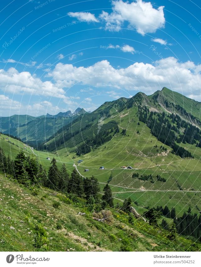 Bergsommer 1 Ferien & Urlaub & Reisen Tourismus Sommerurlaub Berge u. Gebirge wandern Umwelt Natur Landschaft Pflanze Himmel Wolken Schönes Wetter Baum Gras