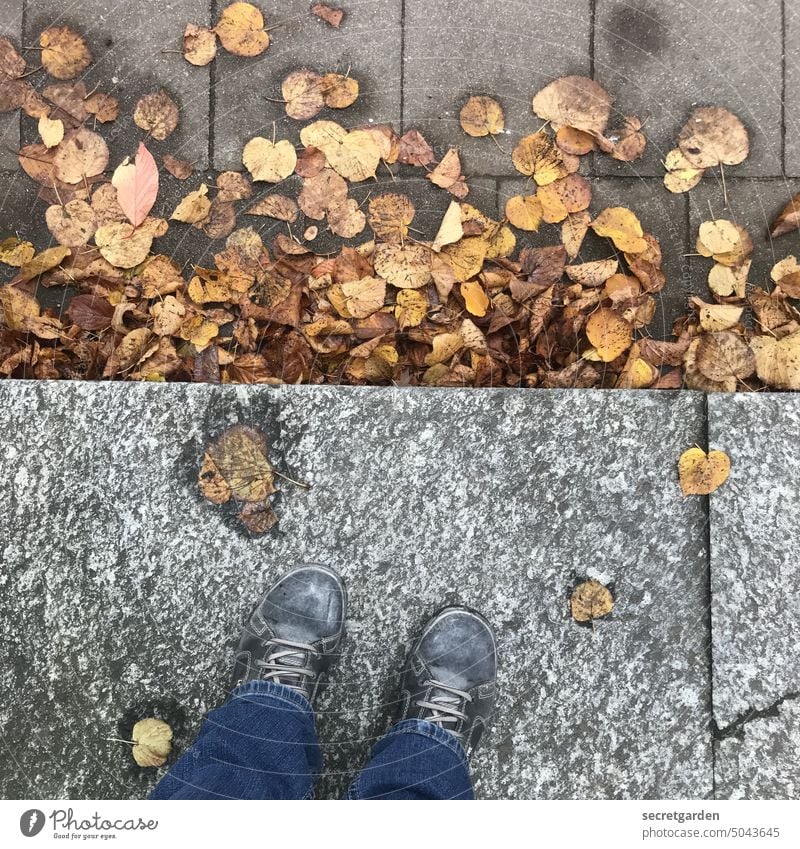 Hart an der Kante Herbst Blätter Herbstlaub Schuhe Vogelperspektive nass Jeans Mensch Stein herbstlich Herbstfärbung Außenaufnahme Farbfoto Blatt Tag braun Laub