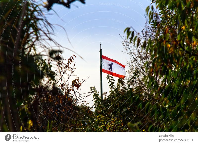 Berliner Lokalpatriotismus ast baum erholung ferien garten hecke herbst herbstlaub himmel kleingarten kleingartenkolonie laubfärbung menschenleer nachbarschaft