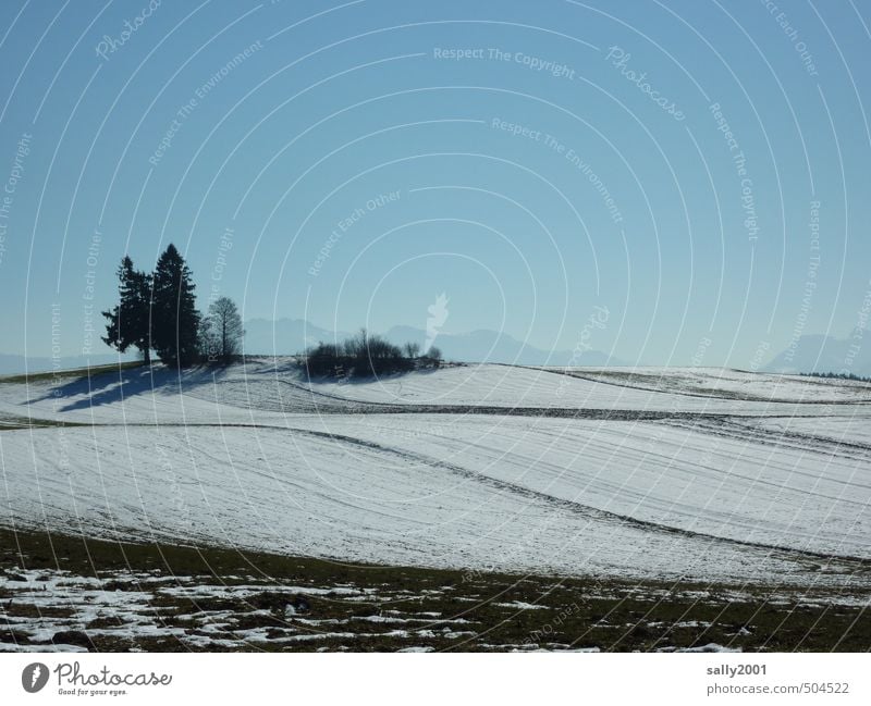 so darf der Winter kommen... Natur Landschaft Erde Wolkenloser Himmel Schönes Wetter Eis Frost Schnee Baum Sträucher Feld Hügel Alpen Berge u. Gebirge