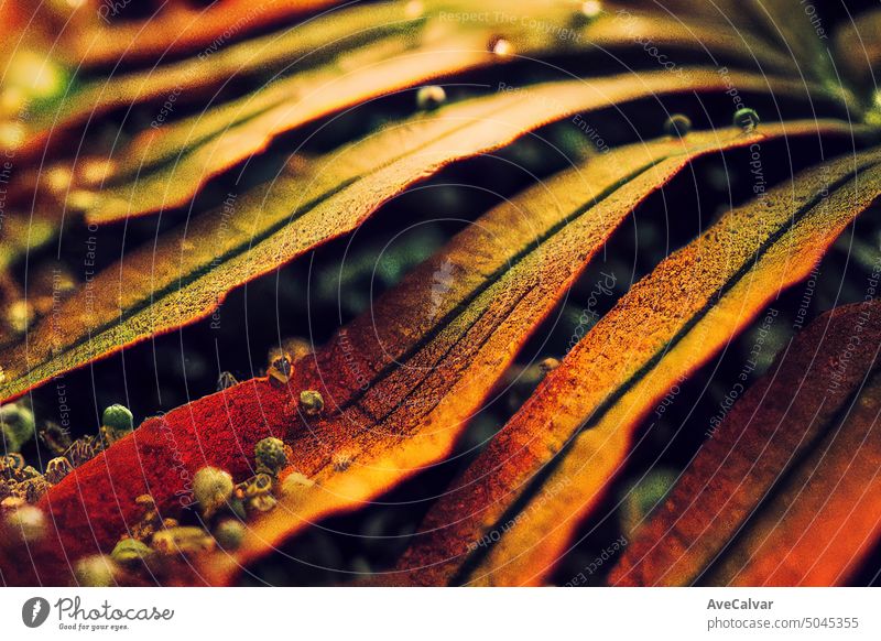 Super detaillierte bunte Wellen Hintergrund, Kopie Raum Banner, konzeptionelle Fotografie von Makro-Elemente Farben Tropfen fließen Flüssigkeit liquide