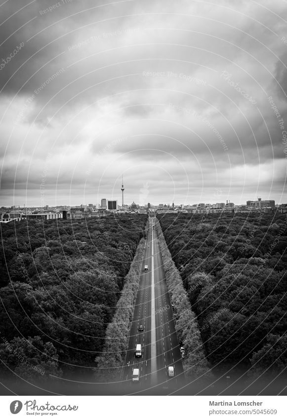 Hauptstrasse zum Brandenburger Tor Straße Straßenverkehr Schwarzweißfoto Berlin Hauptstraße Allee Bäume Himmel Freiraum Freiraum oben Textfreiraum oben