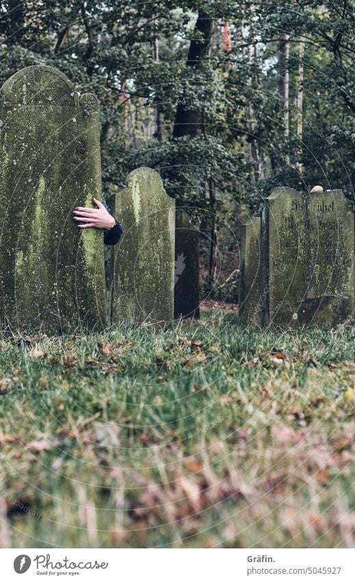 Eiskaltes Händchen Friedhof gruselig Tod Außenaufnahme dunkel Trauer Farbfoto Menschenleer Grabstein Religion & Glaube Ewigkeit Beerdigung Halloween Wald