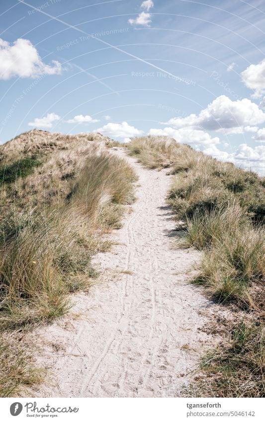 Nationalpark Zuid Kennemerland Nordsee Niederlande Strand Sand Himmel Landschaft Natur Wolken Horizont Tourismus Farbfoto Wasser Küste Ferien & Urlaub & Reisen