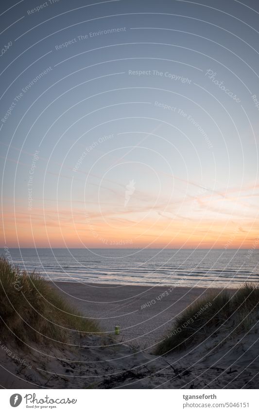 Nordseestrand am Nationalpark Zuid Kennemerland Niederlande Strand Meer Sand Himmel Landschaft Natur Wolken Horizont Tourismus Farbfoto Wasser Küste