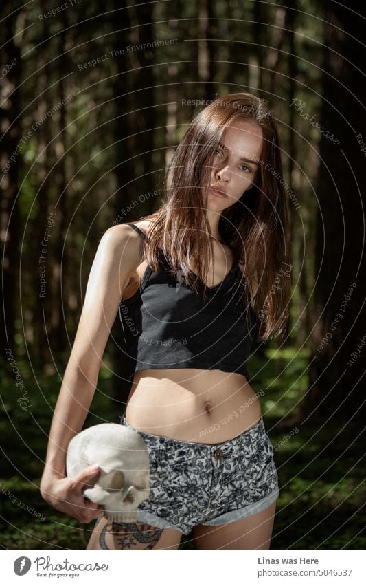 In diesen gruseligen Wäldern macht sich ein wunderschönes brünettes Mädchen mit einem Totenkopf in der Hand bereit, jemanden zu erschrecken. Halloween-Vibes, lange braune Haare und ein wilder Wald. Eine hübsche Frau hat intensiven Blickkontakt mit einer Kamera.