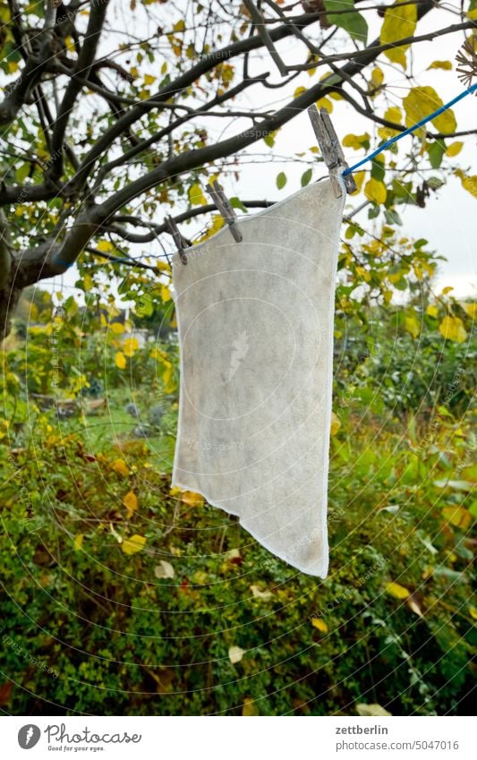 Ganz kleine Wäsche ast baum garten hecke herbst herbstlaub kleingarten kleingartenkolonie menschenleer nachbarschaft natur oktober pflanze ruhe saison