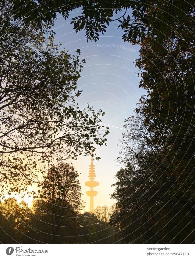 Lichtblick Hamburg Fernsehturm Tourismus Sonnenaufgang Sonnenlicht kitschig Sicht Aussicht Park Durchblick Außenaufnahme Hamburger Fernsehturm Himmel Farbfoto