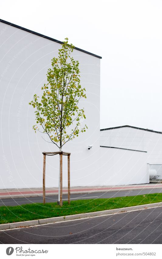 >. Wirtschaft Industrie Himmel Baum Gras Stadt Industrieanlage Fabrik Bauwerk Gebäude Architektur Mauer Wand Fassade Verkehrswege Personenverkehr Straße