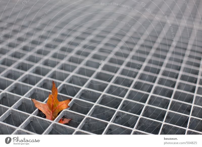 festhängen. Herbst Blatt Garten Fußmatte Gitterrost Metall Linie fallen trocken braun grau Frustration Verbitterung Farbfoto Gedeckte Farben Außenaufnahme