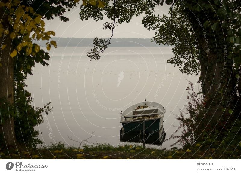 Liegeplatz Freizeit & Hobby Ferien & Urlaub & Reisen Ausflug Umwelt Natur Landschaft Wasser Herbst Wetter Baum Gras Sträucher Seeufer Ruderboot grau