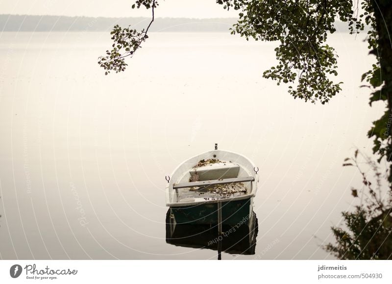 Liegeplatz Ferien & Urlaub & Reisen Ausflug Natur Landschaft Wasser Himmel Herbst Seeufer Bootsfahrt Ruderboot grau Zufriedenheit Farbfoto Außenaufnahme Tag