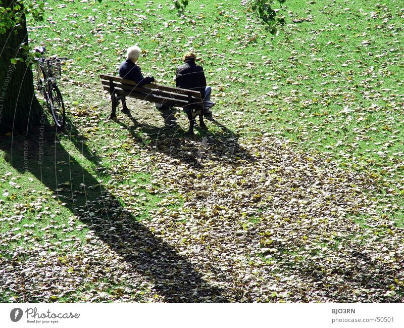 chill-out-lounge Reichtum Erholung Ferien & Urlaub & Reisen sprechen Ruhestand Mensch Mann Erwachsene Paar Senior Herbst Baum Gras Blatt Park Wiese alt kalt