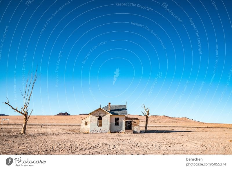 verlassen Himmel Wärme Afrika Namibia Wüste Fernweh Farbfoto Abenteuer Ferien & Urlaub & Reisen besonders beeindruckend Dürre trocken Klimawandel Lüderitz