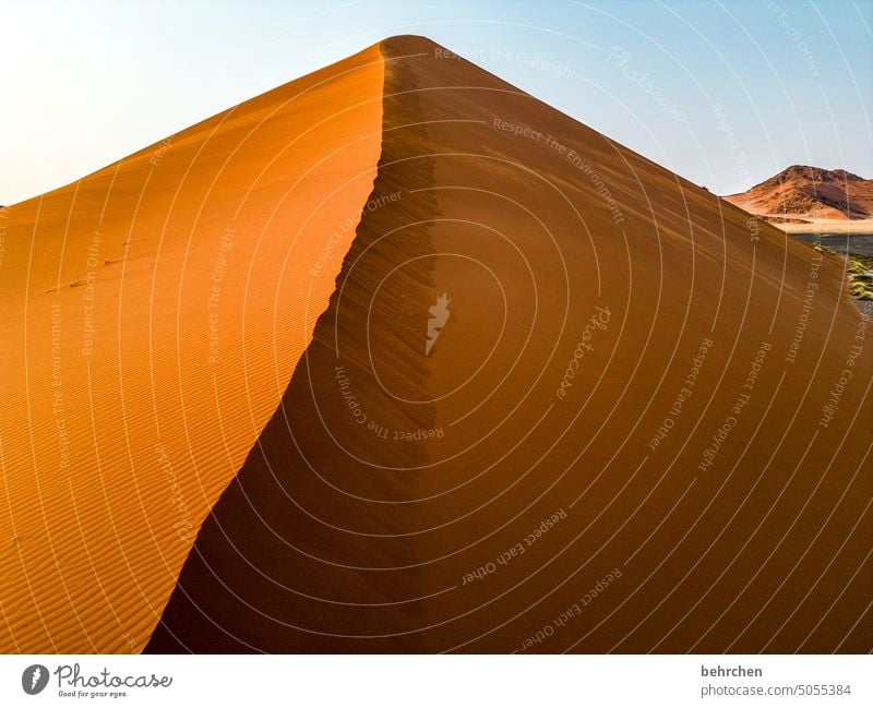 auf schmalen pfaden Morgendämmerung Himmel dune 40 Dünen sanddüne magisch beeindruckend besonders traumhaft Wärme Abenteuer Einsamkeit Natur