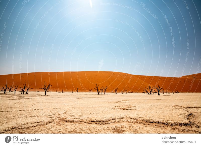 unablässlig strahlt die sonne auf uns nieder Vergänglichkeit Klimawandel Umwelt trocken Dürre Himmel Düne Dünen magisch deadvlei sanddüne beeindruckend