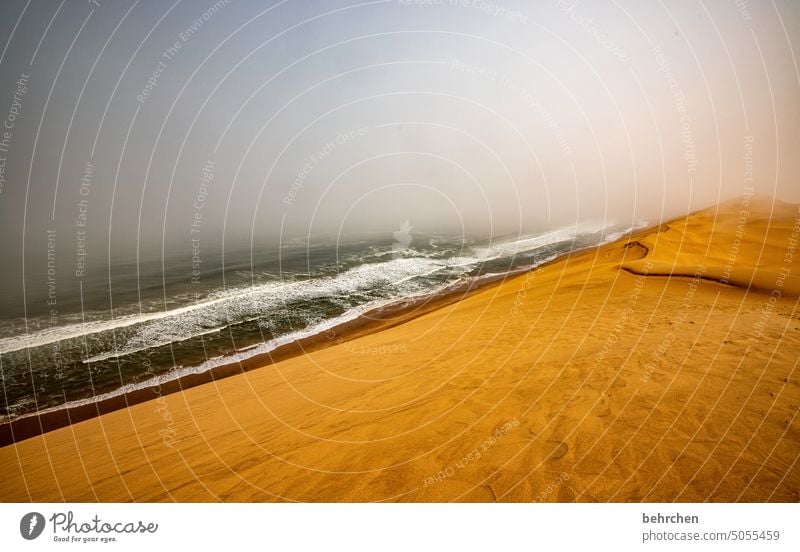 wellness Sanddüne Dunes beeindruckend magisch Düne traumhaft Swakopmund Walvisbay Wärme Himmel Horizont Ferien & Urlaub & Reisen Natur Abenteuer Landschaft