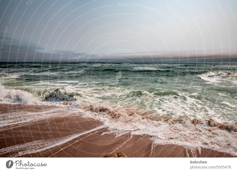 berauscht Wasser Strand besonders Küste Außenaufnahme Farbfoto Afrika träumen reisen Fernweh Ferne Meer Sand Namibia Landschaft Freiheit Natur