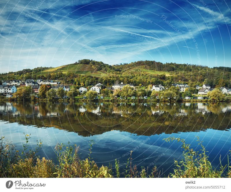 Uferlinie Wasserspiegelung Wasseroberfläche Fluss Mosel Mosel (Weinbaugebiet) Flussufer Idylle Ruhe Landschaft Häuser Gebäude Weinberge Spiegelung Spiegelbild