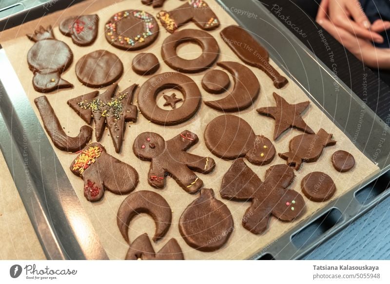 Weihnachts- und Neujahrsplätzchen in verschiedenen Formen, die gerade mit einer bunten Streuung auf einem Backblech verziert werden Lebkuchenplätzchen Cookies