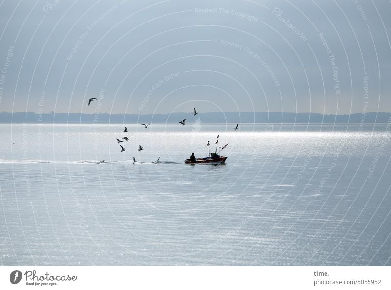 Möwenfütterung Kutter Ostsee Horizont Himmel Wasser Fischkutter Boot Hunger Gegenlicht wolig wolkenverhangen silbrig glänzen Lichterscheinung Fahne Flagge