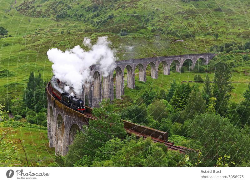 Die Dampflok auf dem berühmten Glenfinnan-Viadukt in Schottland zug dampflok eisenbahn glenfinnan-viadukt schottland highlands brücke lokomotive dampflokomotive