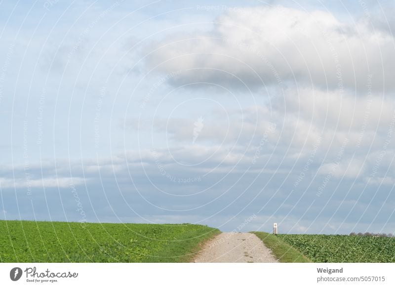 Feldweg mit grüner Wiese und Himmel mit Wolken Bedeckt Landschaft Natur Gras menschenleer Weg Tag