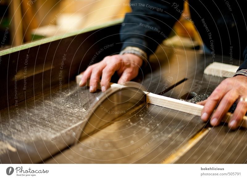 Handwerk Basteln heimwerken Handwerker Holzarbeiten Säge Holzbrett Berufsausbildung Mensch maskulin Mann Erwachsene 1 Arbeit & Erwerbstätigkeit bauen festhalten