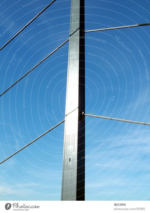 urbaner Tannenbaum Theodor-Heuss-Brücke Drahtseil Träger Säule Wolken Rhein Himmel blau Metall Düsseldorf Architektur