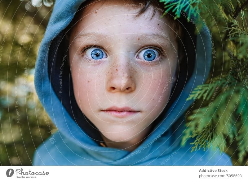 Überraschtes Kind im Kapuzenpulli im Wald Junge Erstaunen Überraschung erstaunt Schock Unerwartet Porträt Baum Kopf Menschliches Gesicht Park nadelhaltig Wunder