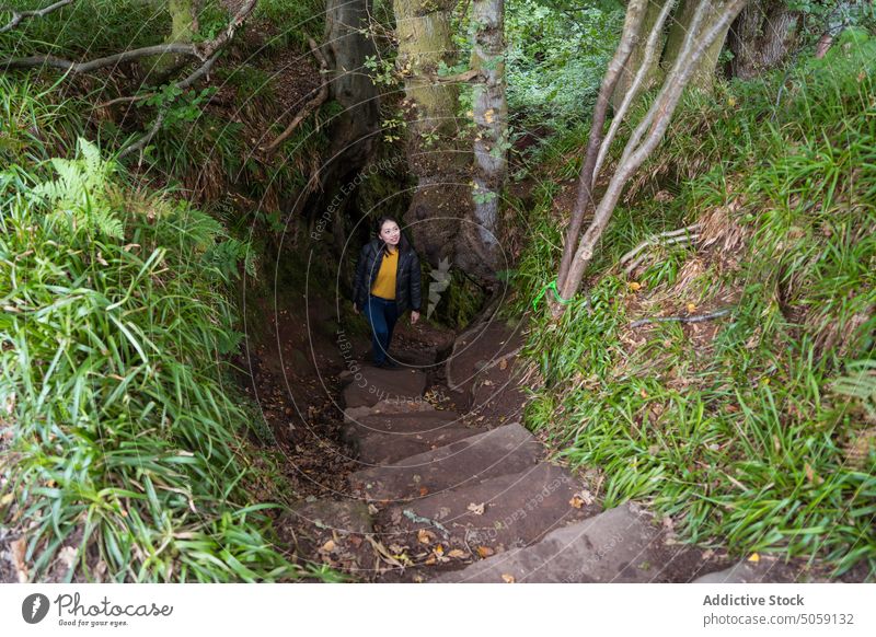 Frau geht Steintreppe im Wald hinauf Natur Spaziergang Treppenhaus Schritt Weg Gras Baum lässig eng Schottland Umwelt Pflanze schlendern grün Wälder Waldgebiet