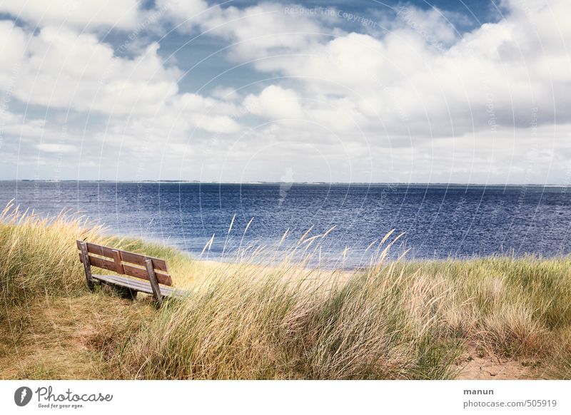 take a seat Ferien & Urlaub & Reisen Sightseeing Bank Natur Landschaft Urelemente Küste Nordsee Meer Insel Erholung sitzen ruhig Einsamkeit Frieden Pause Ferne